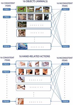 Semantic Grounding of Novel Spoken Words in the Primary Visual Cortex